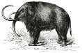 mammut mascot