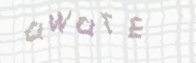 Please type the word you read in the image